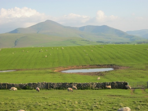 Skiddaw over Uldale Common Farm Pond