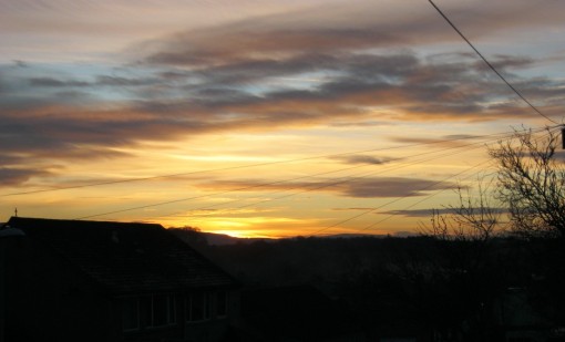 Sunset on Wood View (further cropped)
