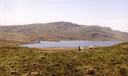 Devoke Water from Rough Crag Ascent